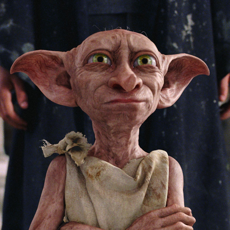 Dobby with Socks
